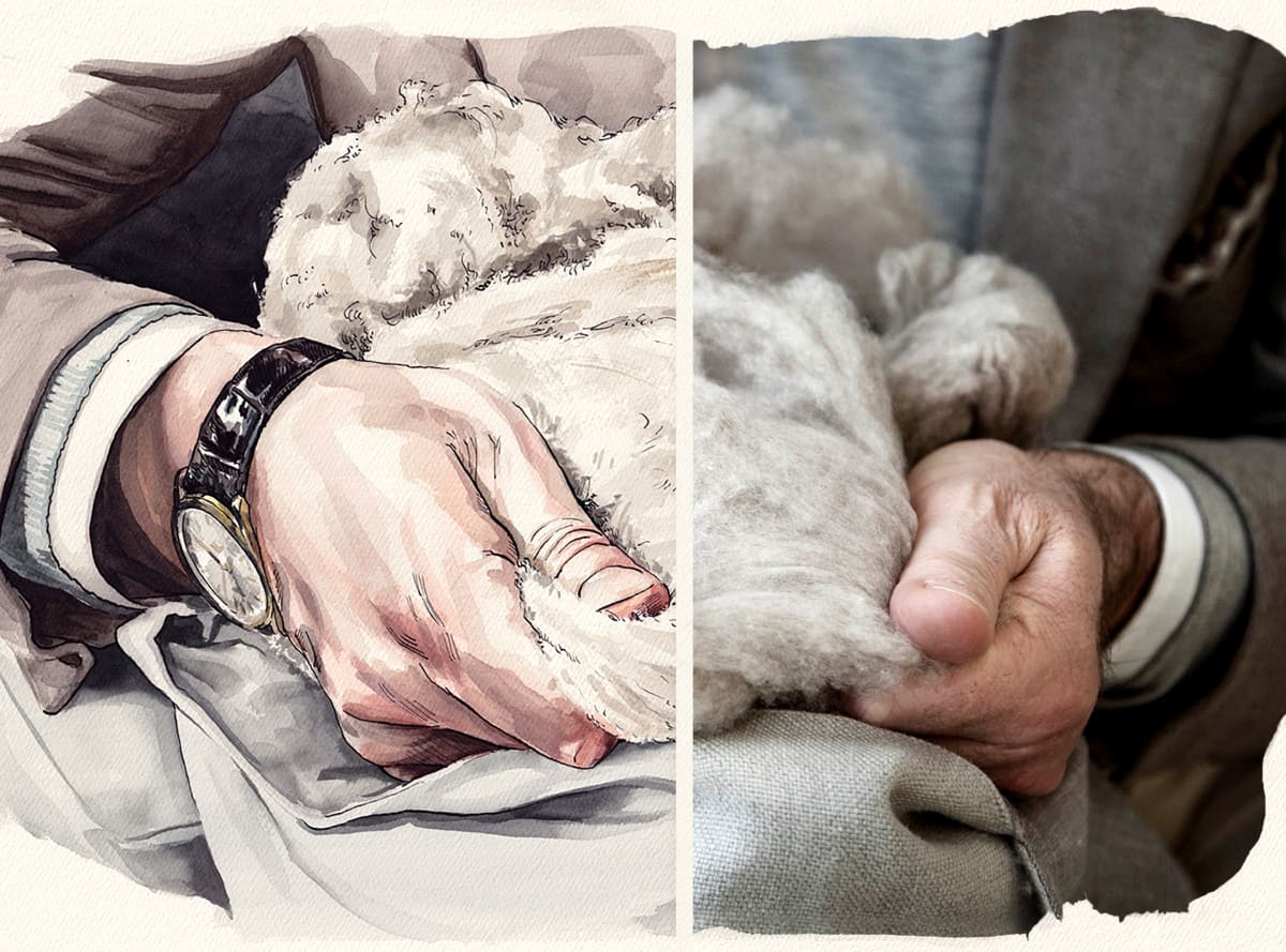 Первые шаги в мире кашемира