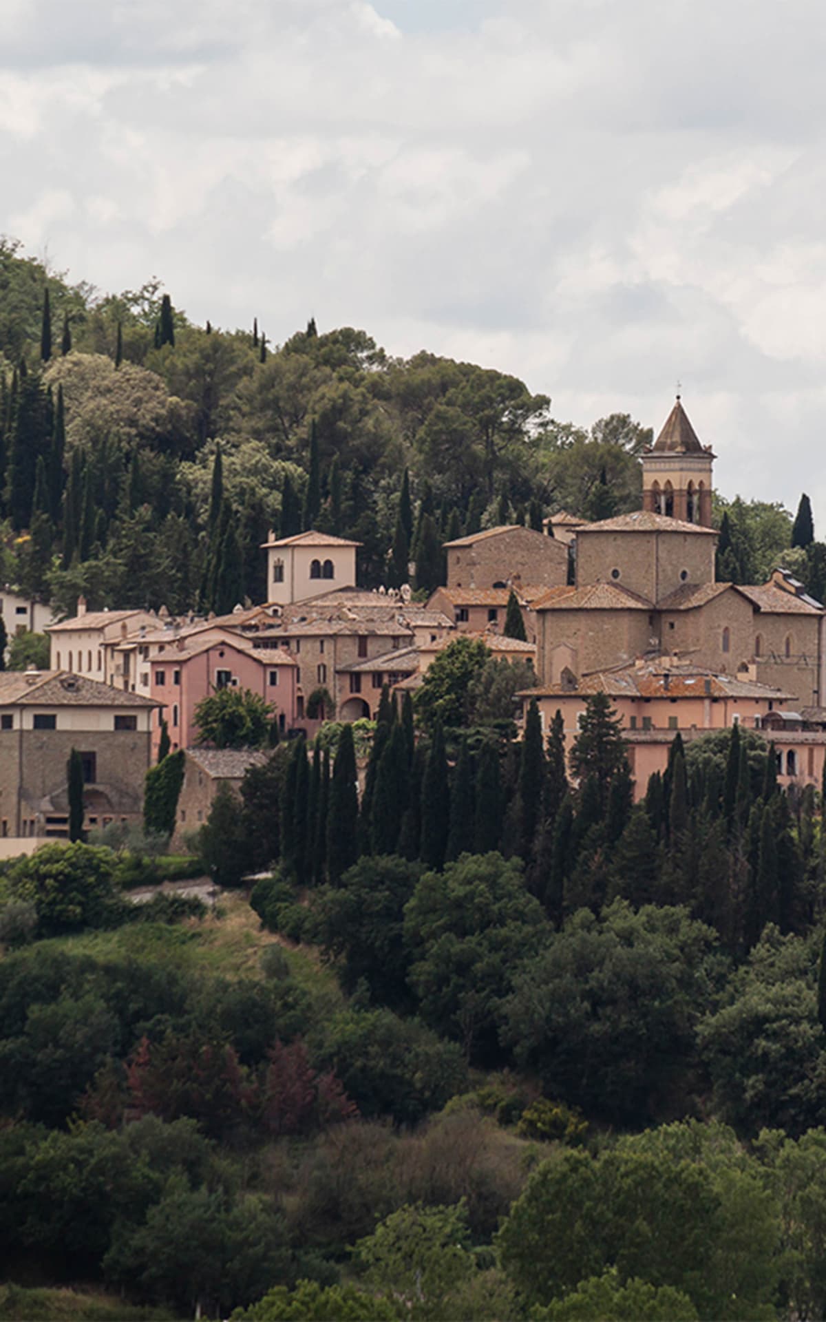 Красота и добро