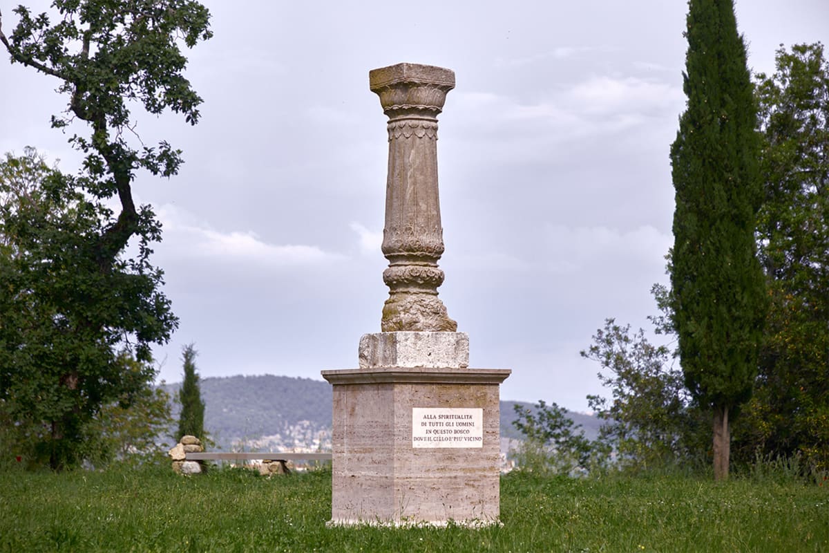 Вековые деревья Леса