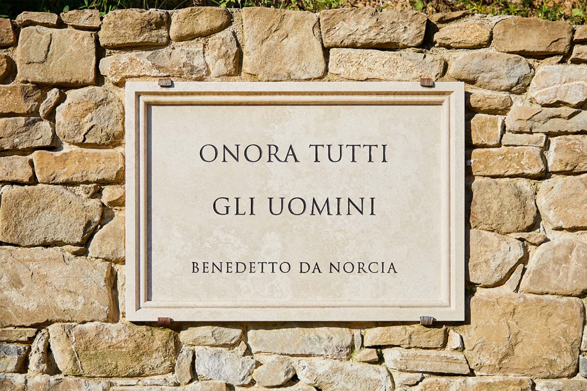 Вид на долину с вершины холма