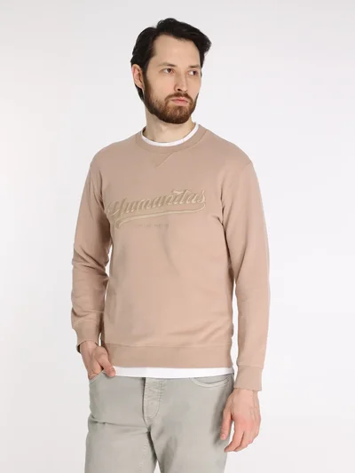 Толстовка цвет бежевый — превью 2